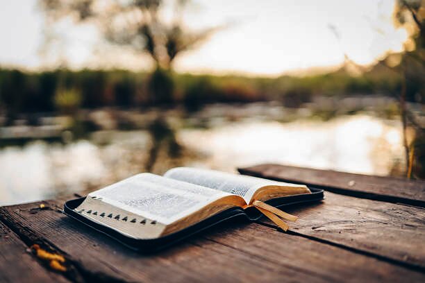 Growth Groups Bible study